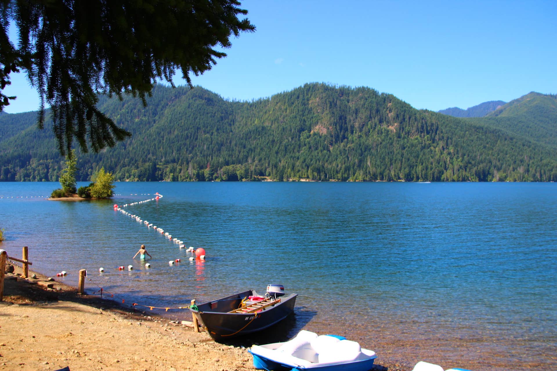 Camper submitted image from Skokomish Park at Lake Cushman - 4