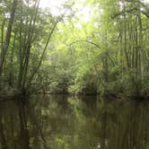 Review photo of Aiken State Park Campground by Muffy S., August 2, 2020