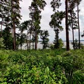 Review photo of Sam Houston National Forest Cagle Recreation Area by Justin R., August 2, 2020