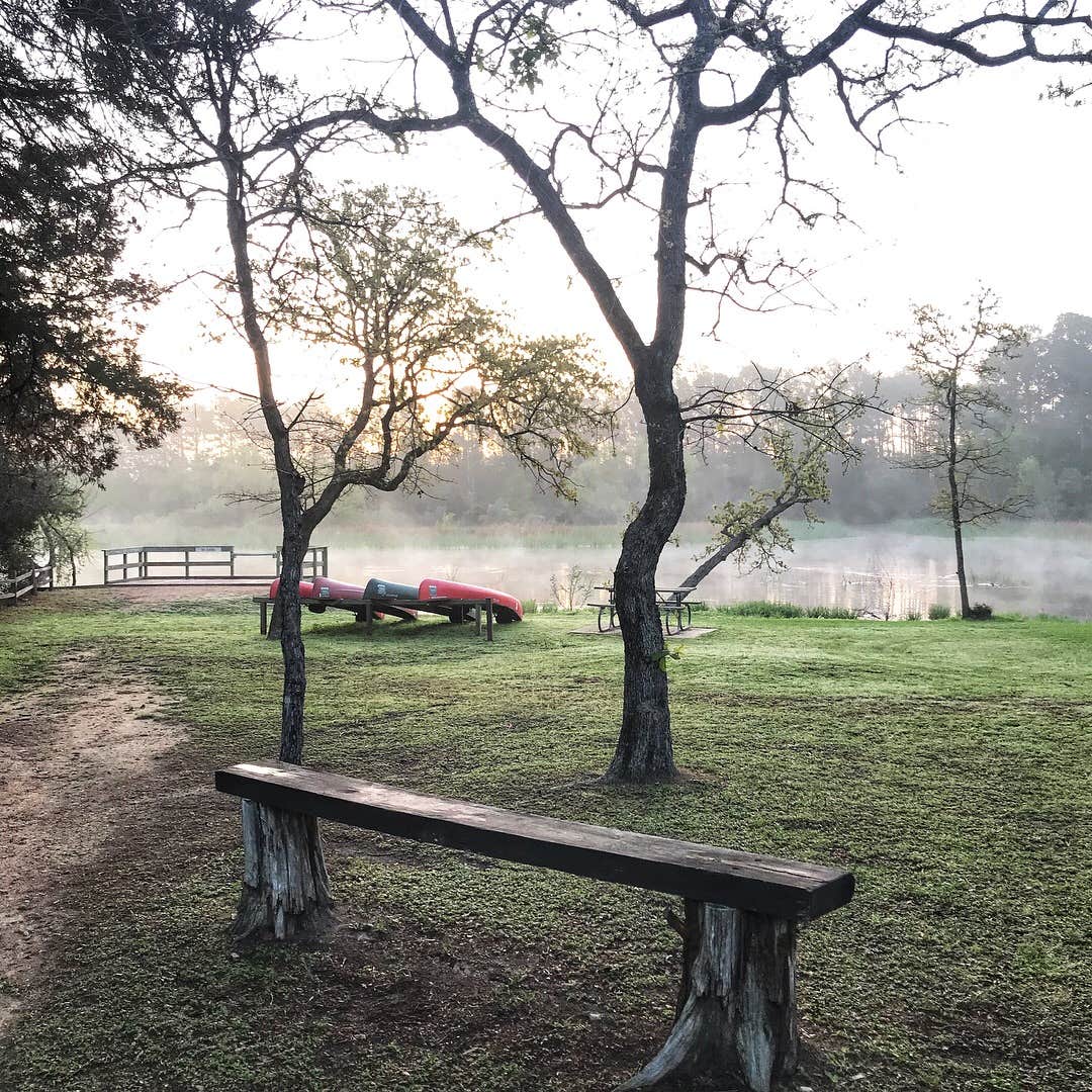 Camper submitted image from Lake Bastrop North Shore Park - 3