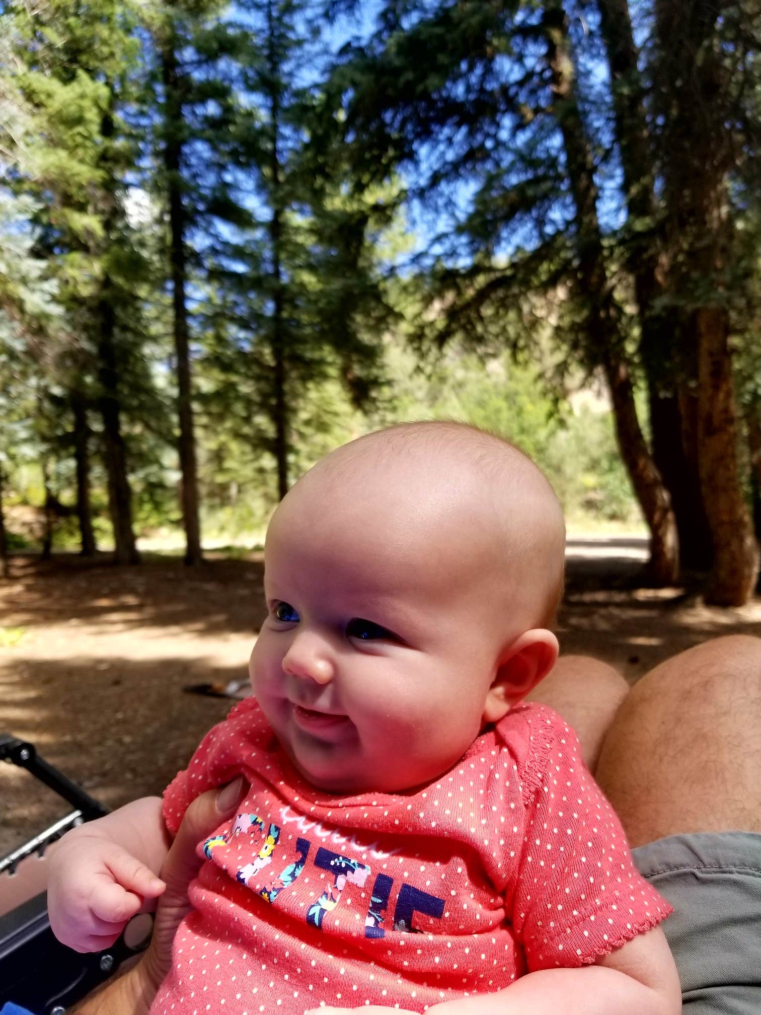 Camper-submitted photo at Thompson Creek Campground near Parachute, CO