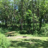 Review photo of Turtle River State Park Campground by Janet R., August 2, 2020