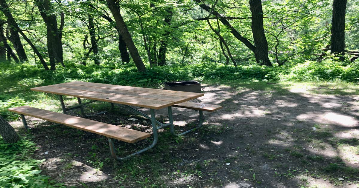 CamperSubmitted Photos of Turtle River State Park Campground