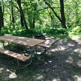 Review photo of Turtle River State Park Campground by Janet R., August 2, 2020