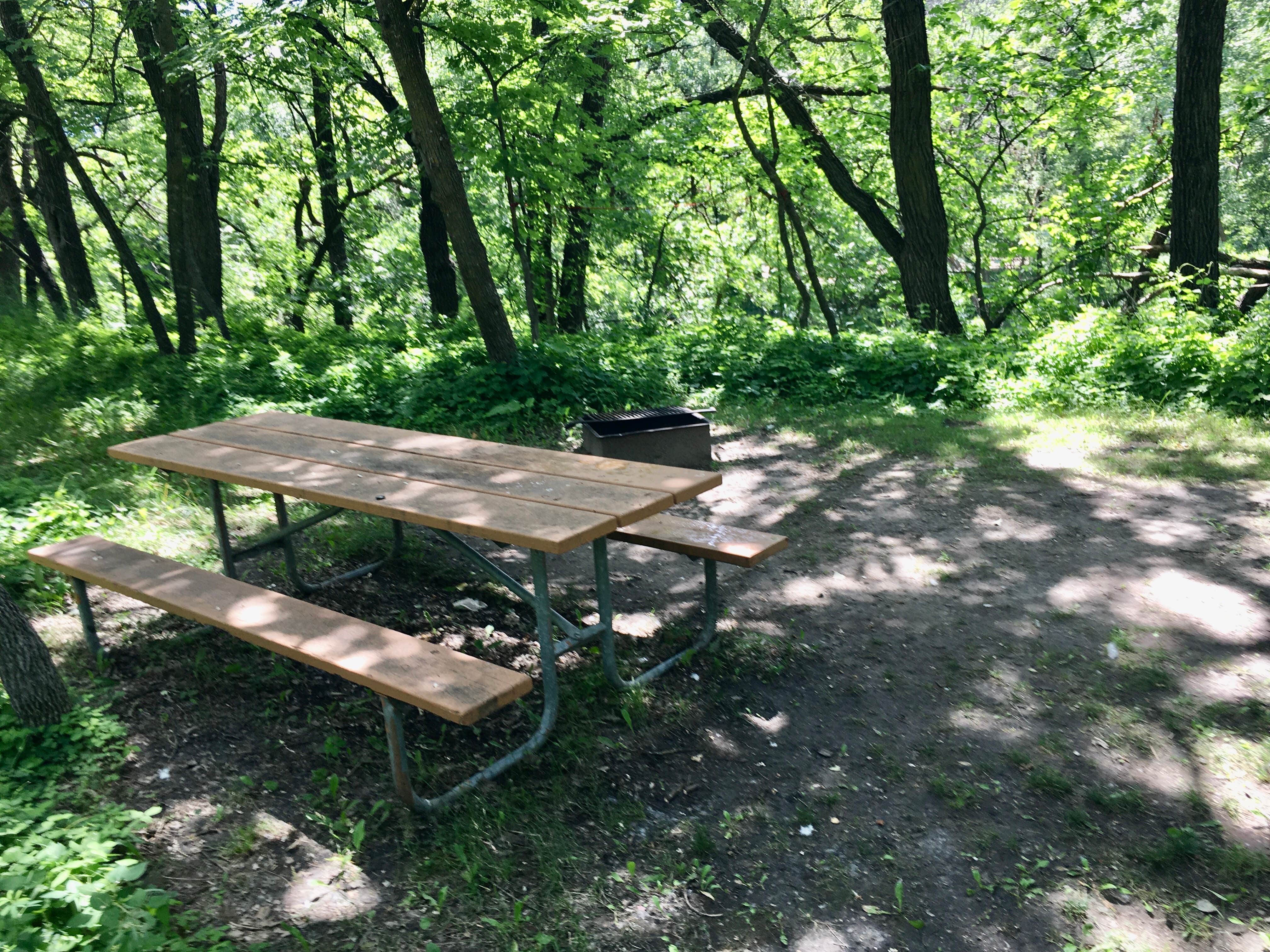 Camper submitted image from Turtle River State Park Campground - 1