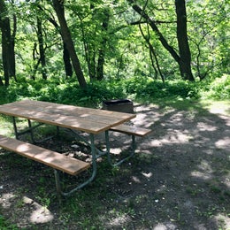 Turtle River State Park Campground