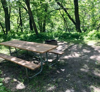 Camper-submitted photo from Turtle River State Park Campground