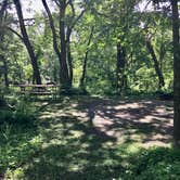 Review photo of Turtle River State Park Campground by Janet R., August 2, 2020