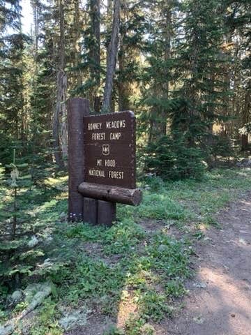 Camper submitted image from Bonney Meadows - 2