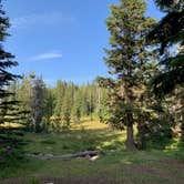 Review photo of Bonney Meadows by Heather K., August 2, 2020