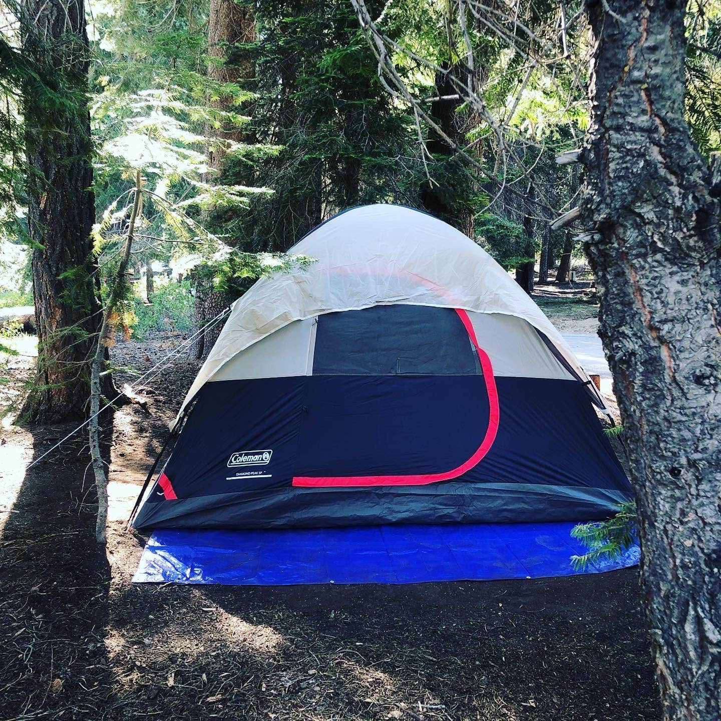 Alisha  C.'s photo at Deer Creek Campground near Big Creek, CA