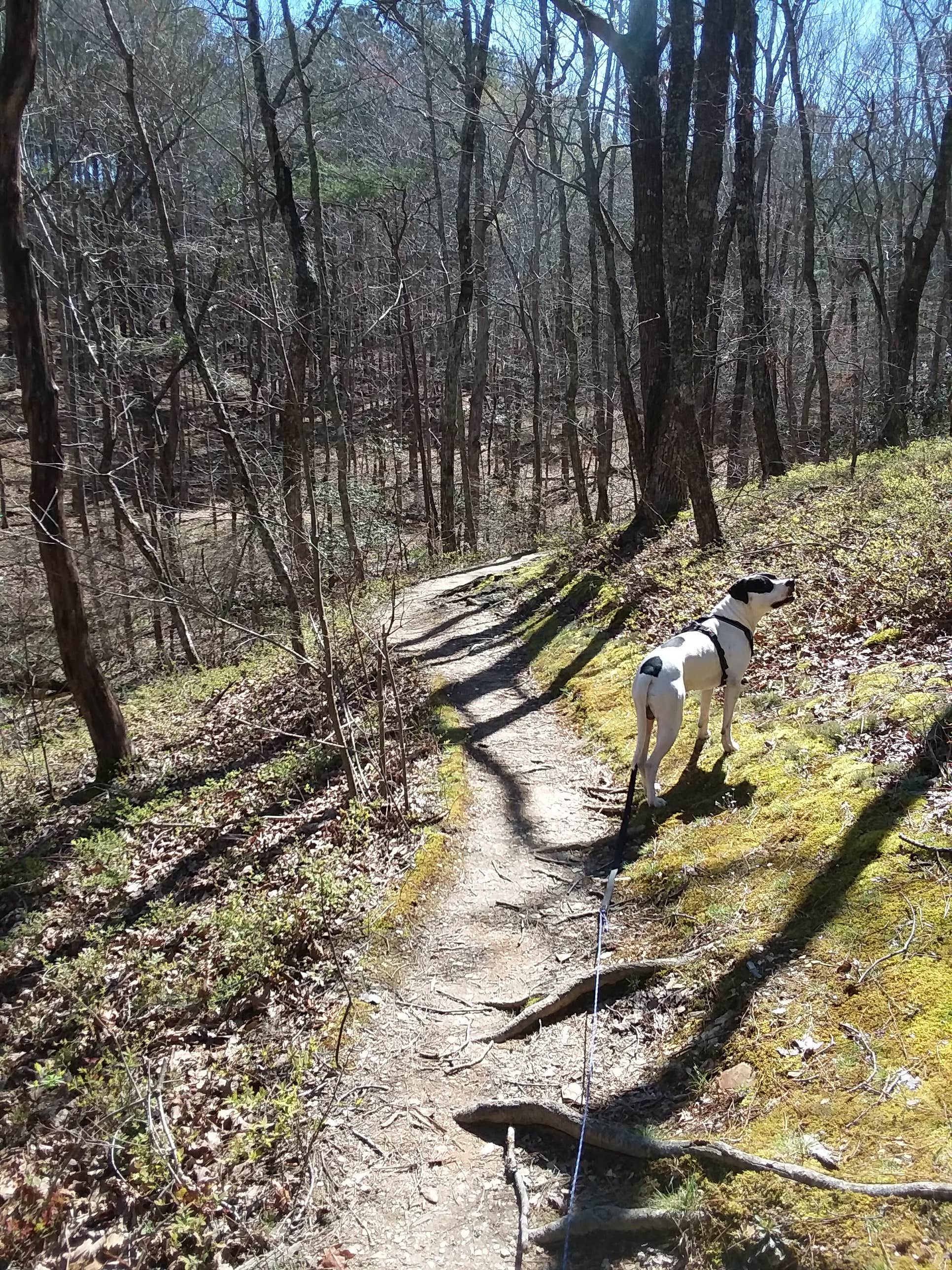 Camper submitted image from Turnipseed Campground - 2