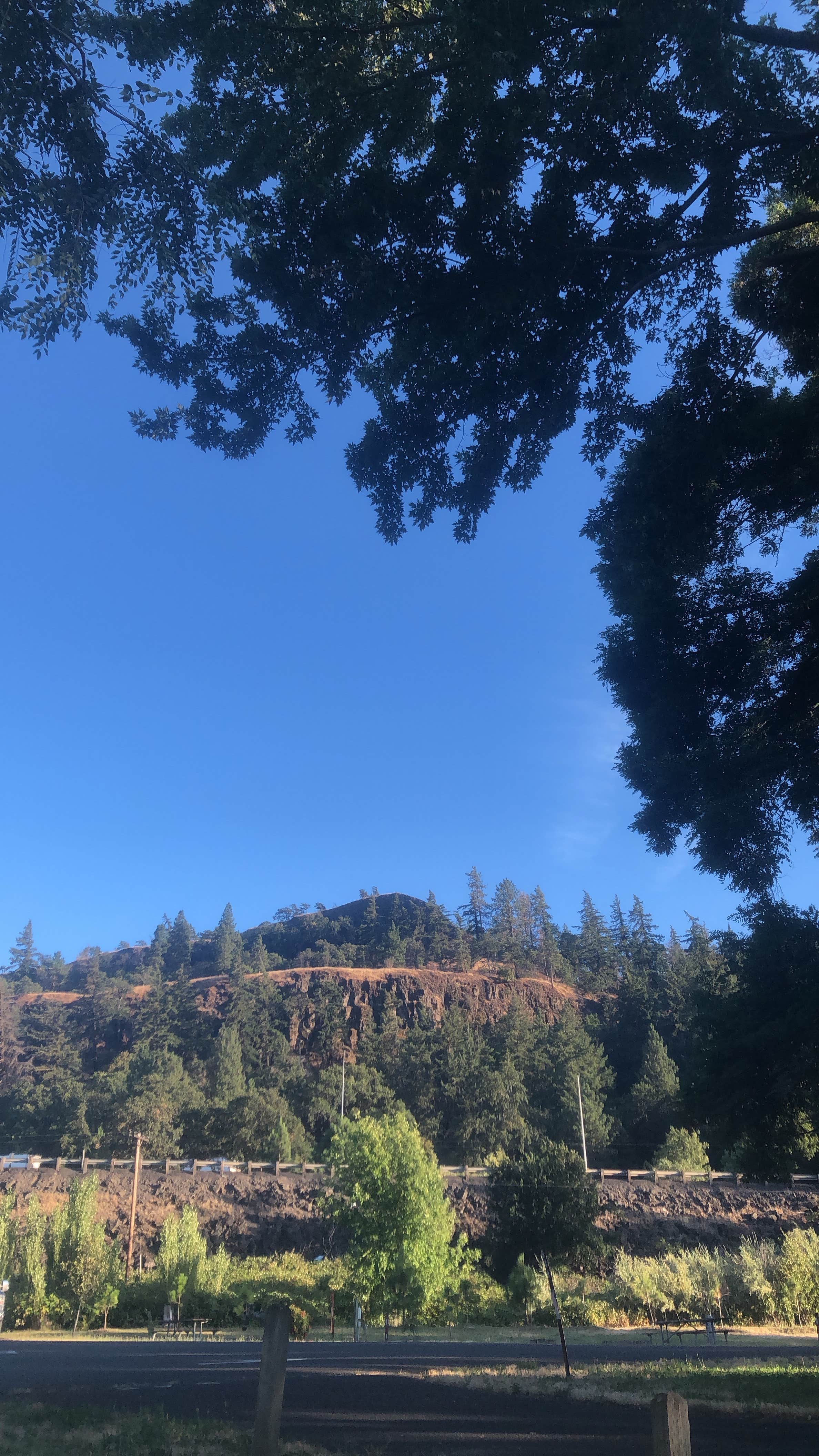 Camper-submitted photo at Memaloose State Park Campground near Trout Lake, WA