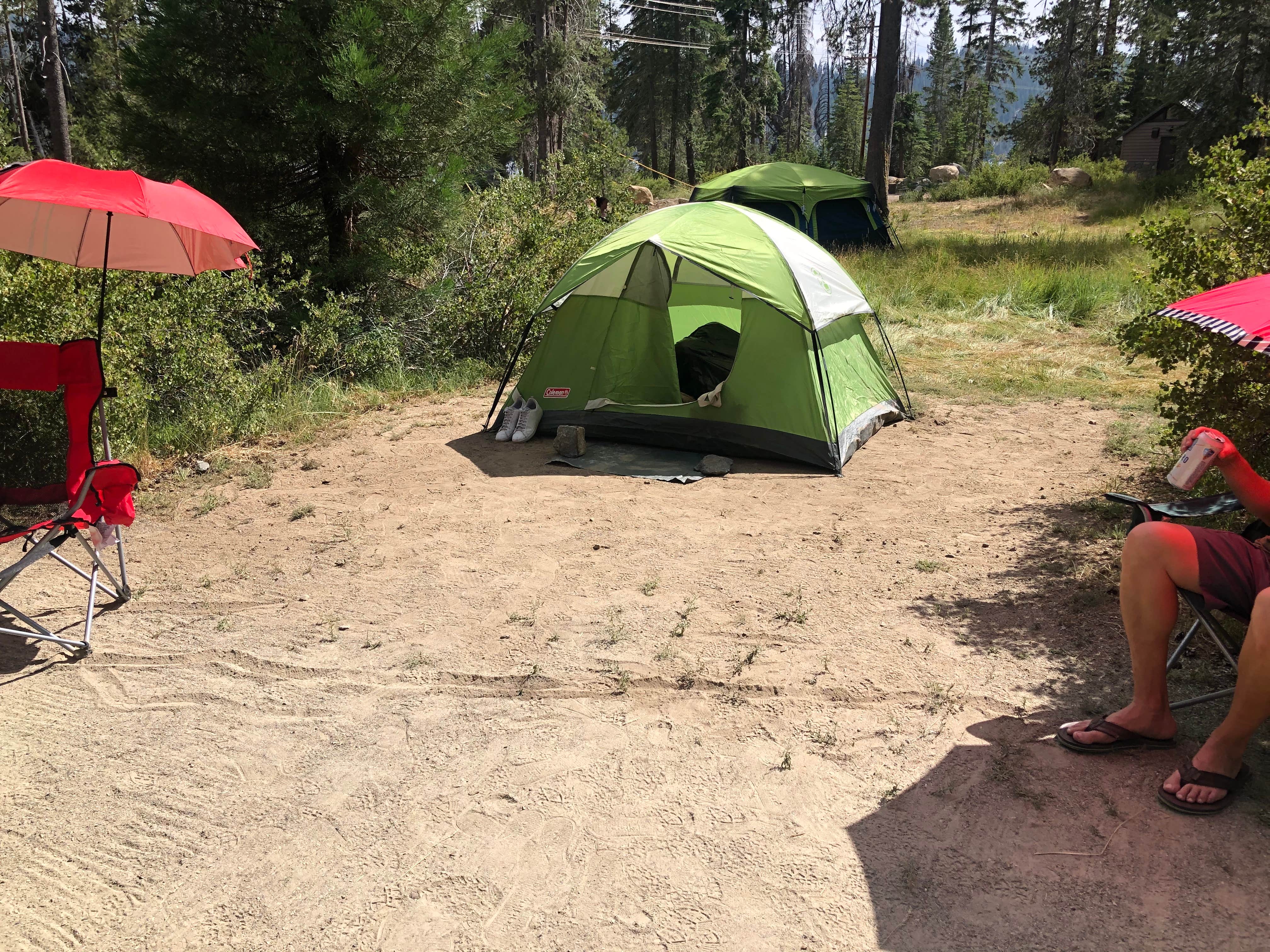 Alisha  C.'s photo of tent camping at College near Inyo National Forest