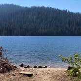 Review photo of Sierra National Forest College Campground by Alisha  C., August 2, 2020