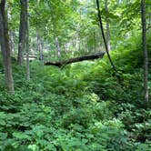 Review photo of Nelson Dewey State Park Campground by Chris G., August 2, 2020