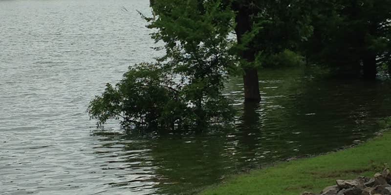 Camper submitted image from Wax - Nolin River Lake