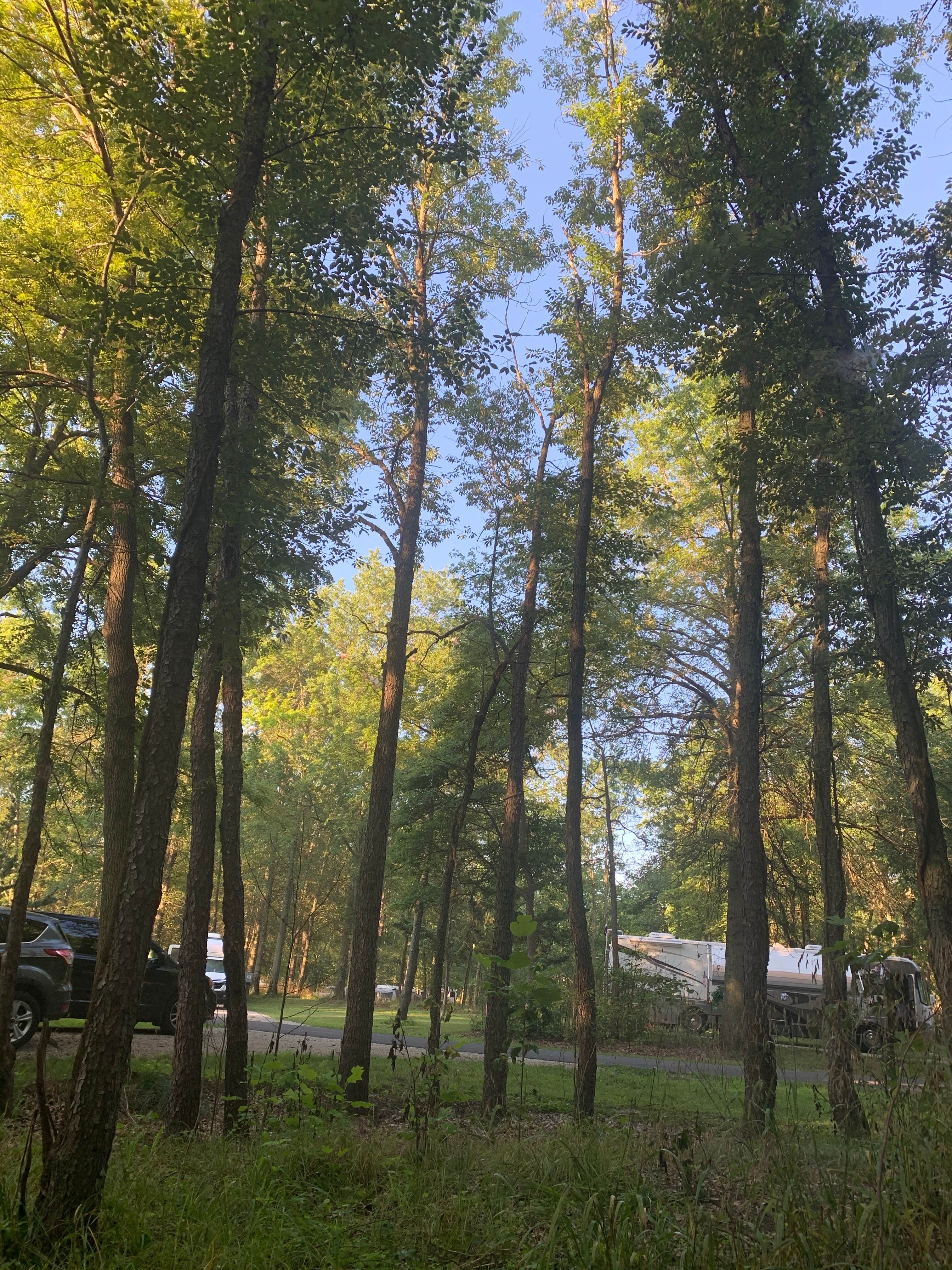 Camper-submitted photo at Kickapoo State Recreation Area in Illinois