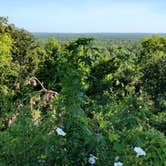 Review photo of Torreya State Park Campground by Bryan T., August 2, 2020