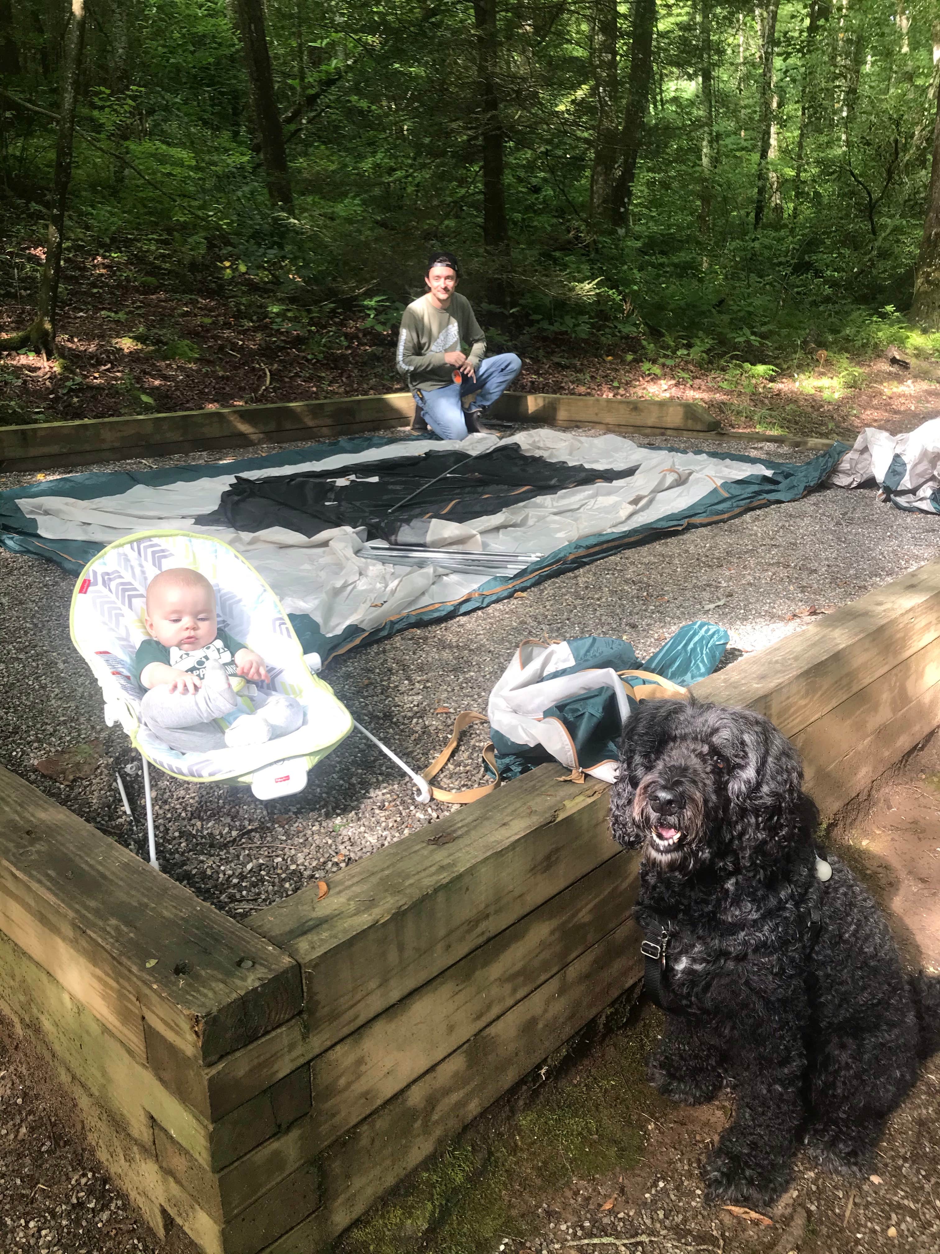 Jennifer T.'s photo of camping with pets at Lake Winfield Scott Campground near Helen, GA