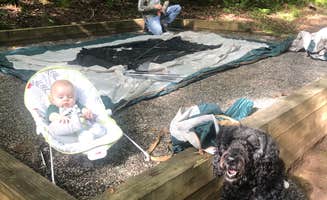 Jennifer T.'s photo of camping with pets at Lake Winfield Scott Campground near Chattahoochee-Oconee National Forest