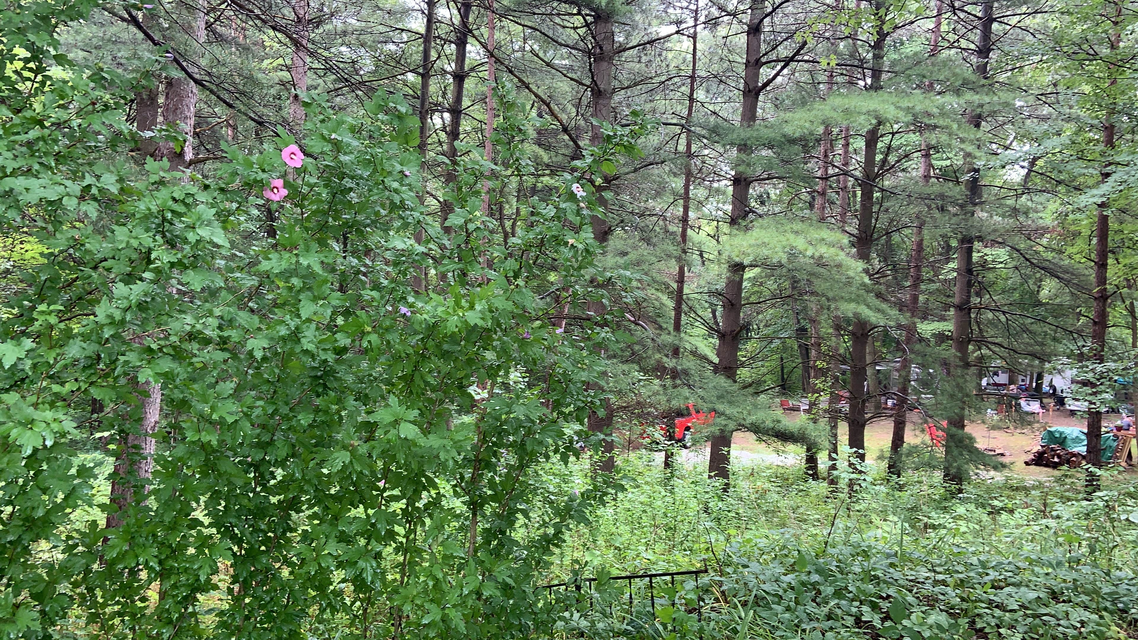 Camper-submitted photo at Pride Valley Campground near Bolivar, OH