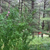 Review photo of Pride Valley Campground by Rozina G., August 2, 2020