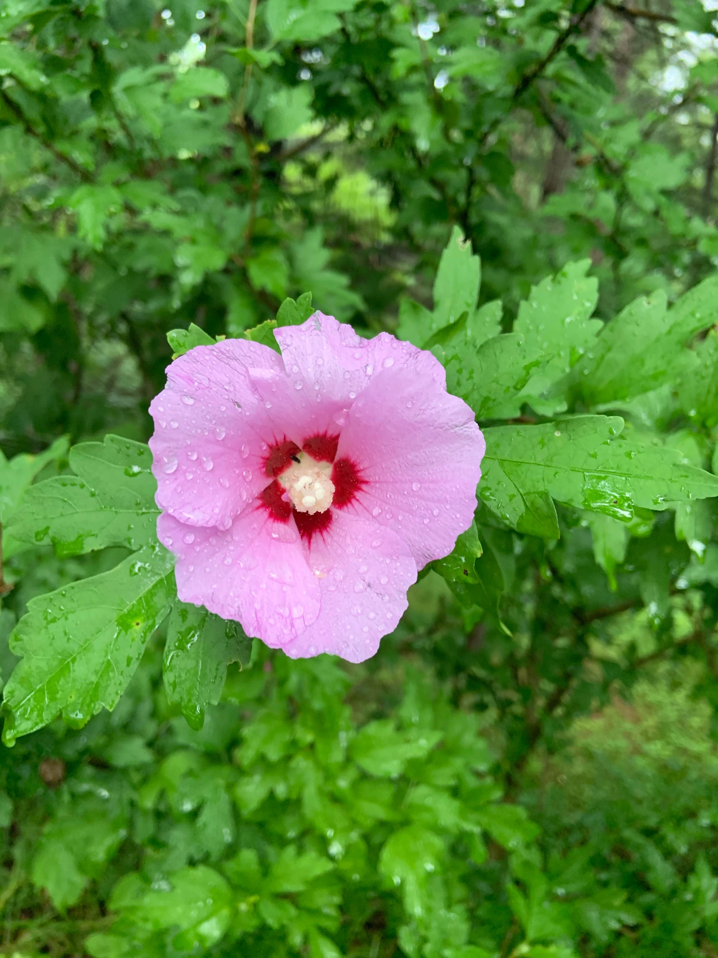 Camping near Big Arbs Campground: Pride Valley Campground, Malvern, Ohio