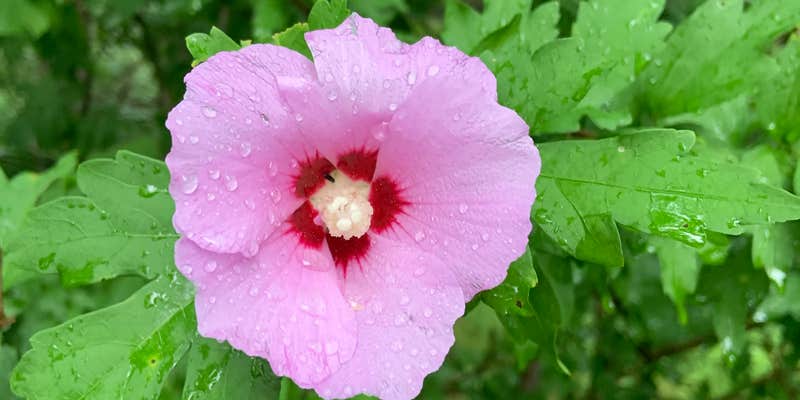 Camper submitted image from Pride Valley Campground