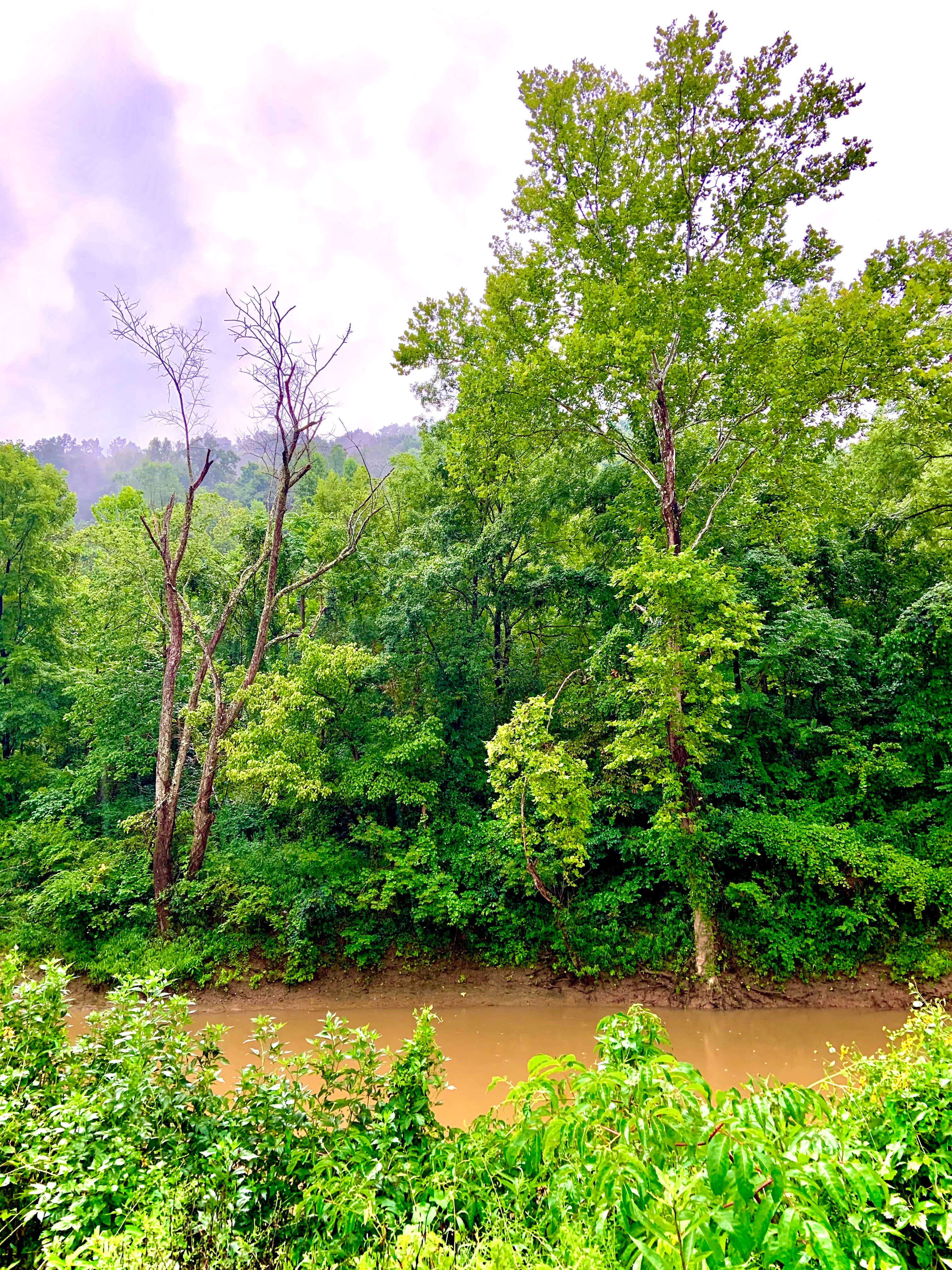 Camper-submitted photo at Jims Campground near Lavalette, WV