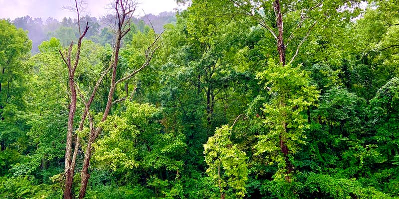 Camper submitted image from Jims Campground