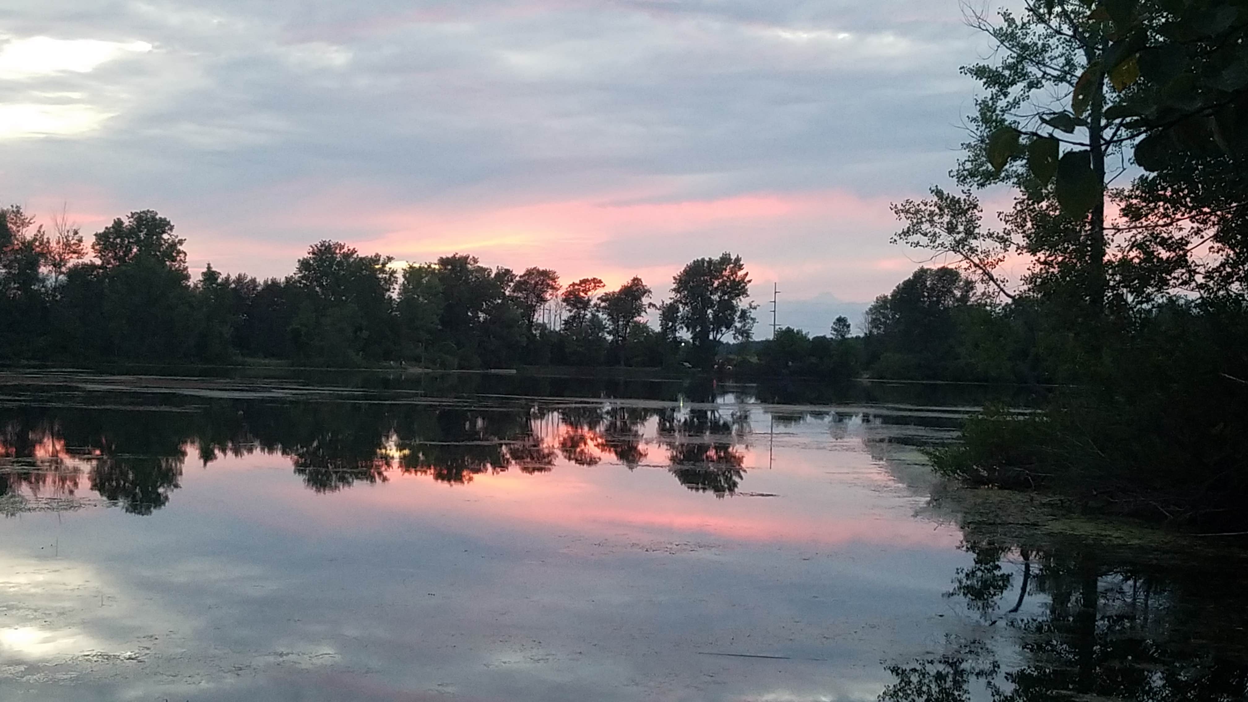 Camper submitted image from Herrick Recreation Area - 5