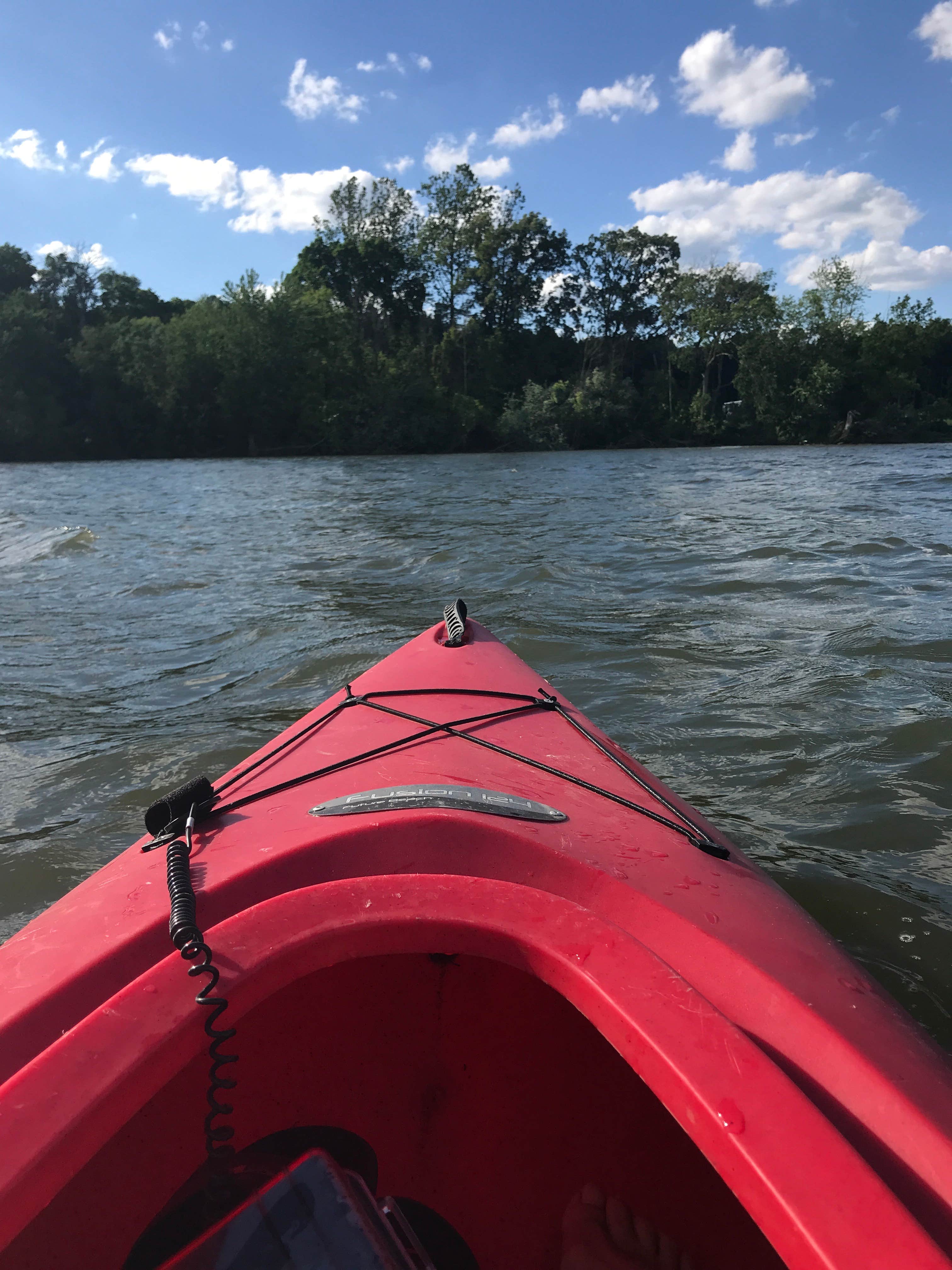 Camper submitted image from Pleasant Hill Lake Park Campground - 5