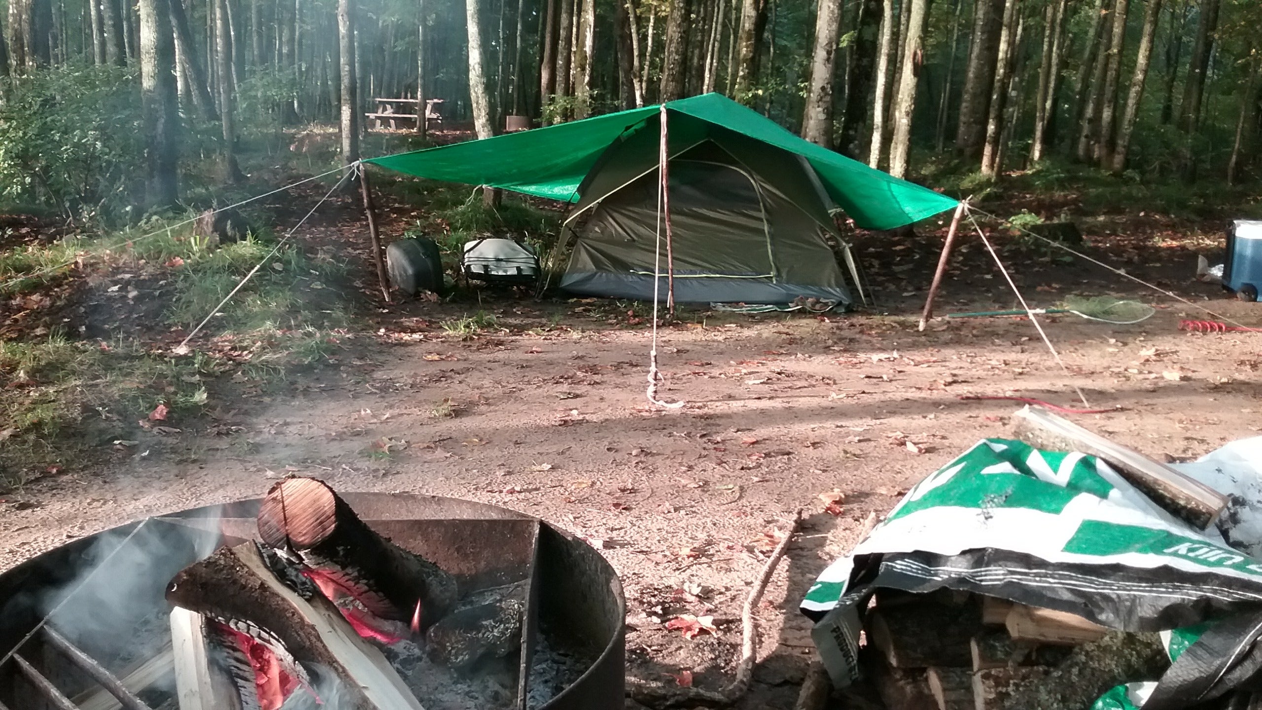 Camper submitted image from Forest Lake State Forest Campground - 5