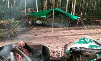 Rachel K.'s photo at Forest Lake State Forest Campground near Trenary, MI