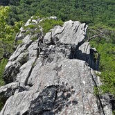 Review photo of Upper Improved Campground — Cheaha State Park by Chris L., August 2, 2020