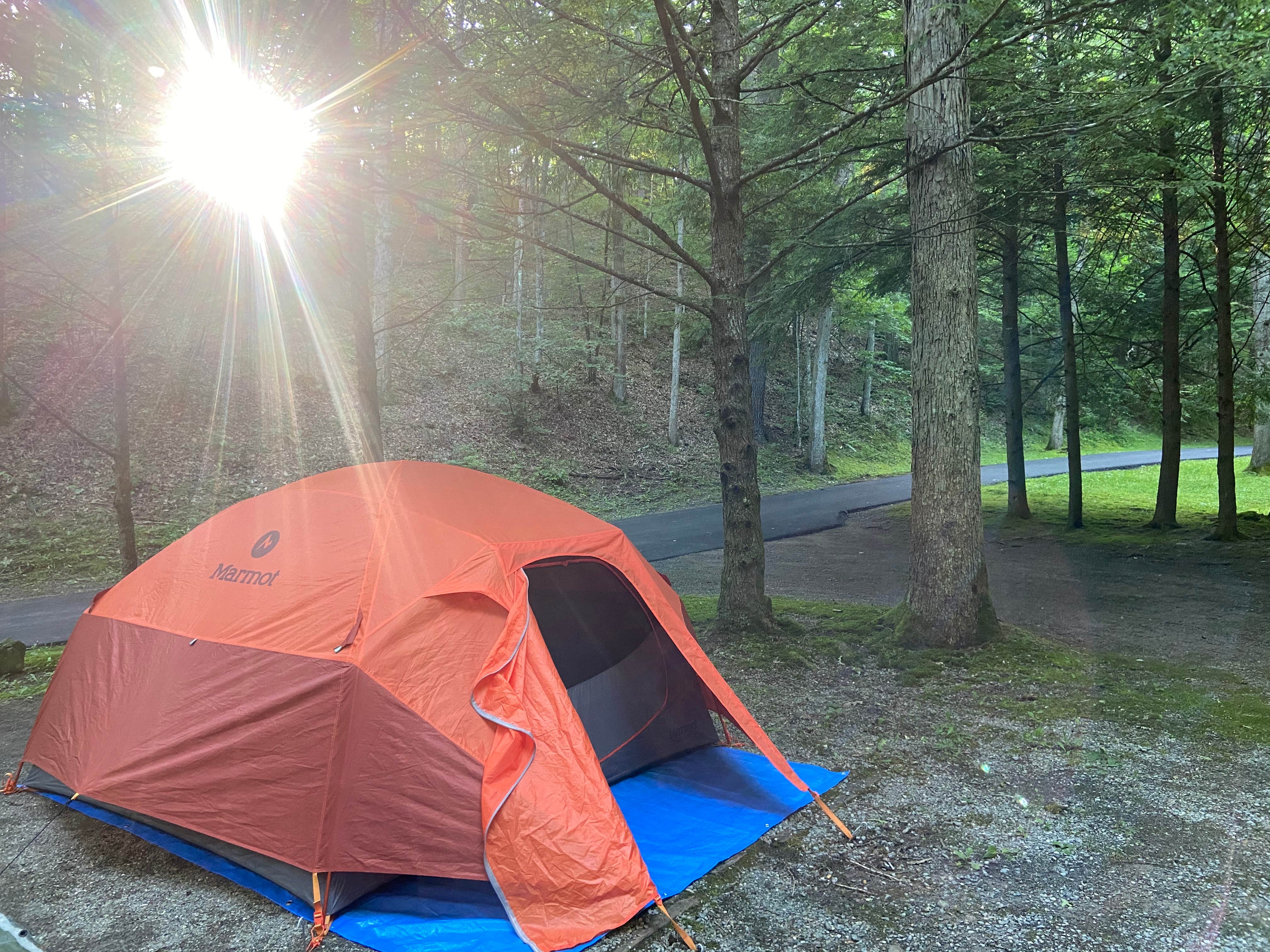 Dave V.'s photo at Seven Mile Campground near Snowshoe, WV