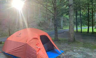 Dave V.'s photo of tent camping at Seven Mile Campground near Hillsboro, WV