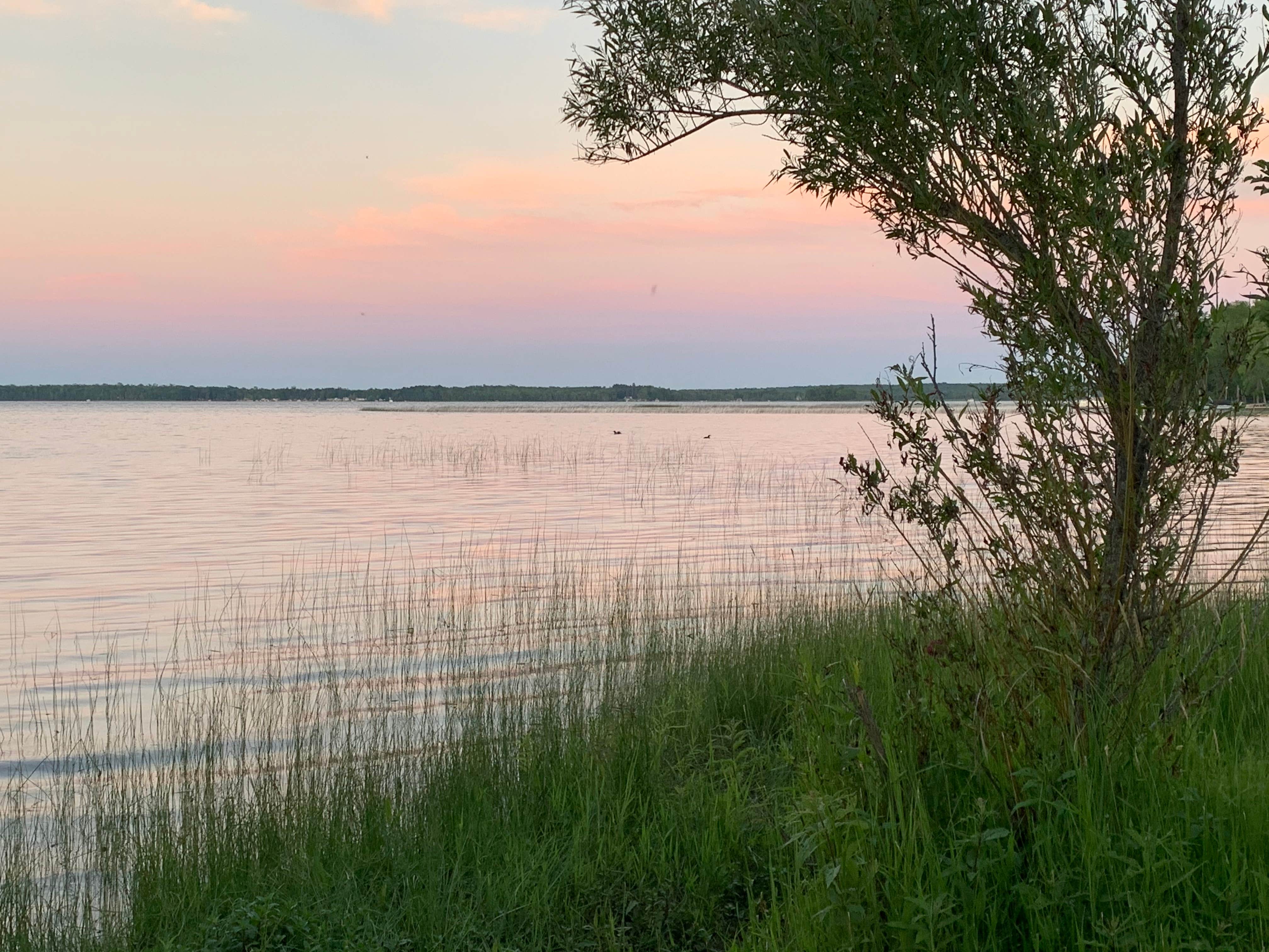 Camper submitted image from South Manistique Lake State Forest Campground - 2