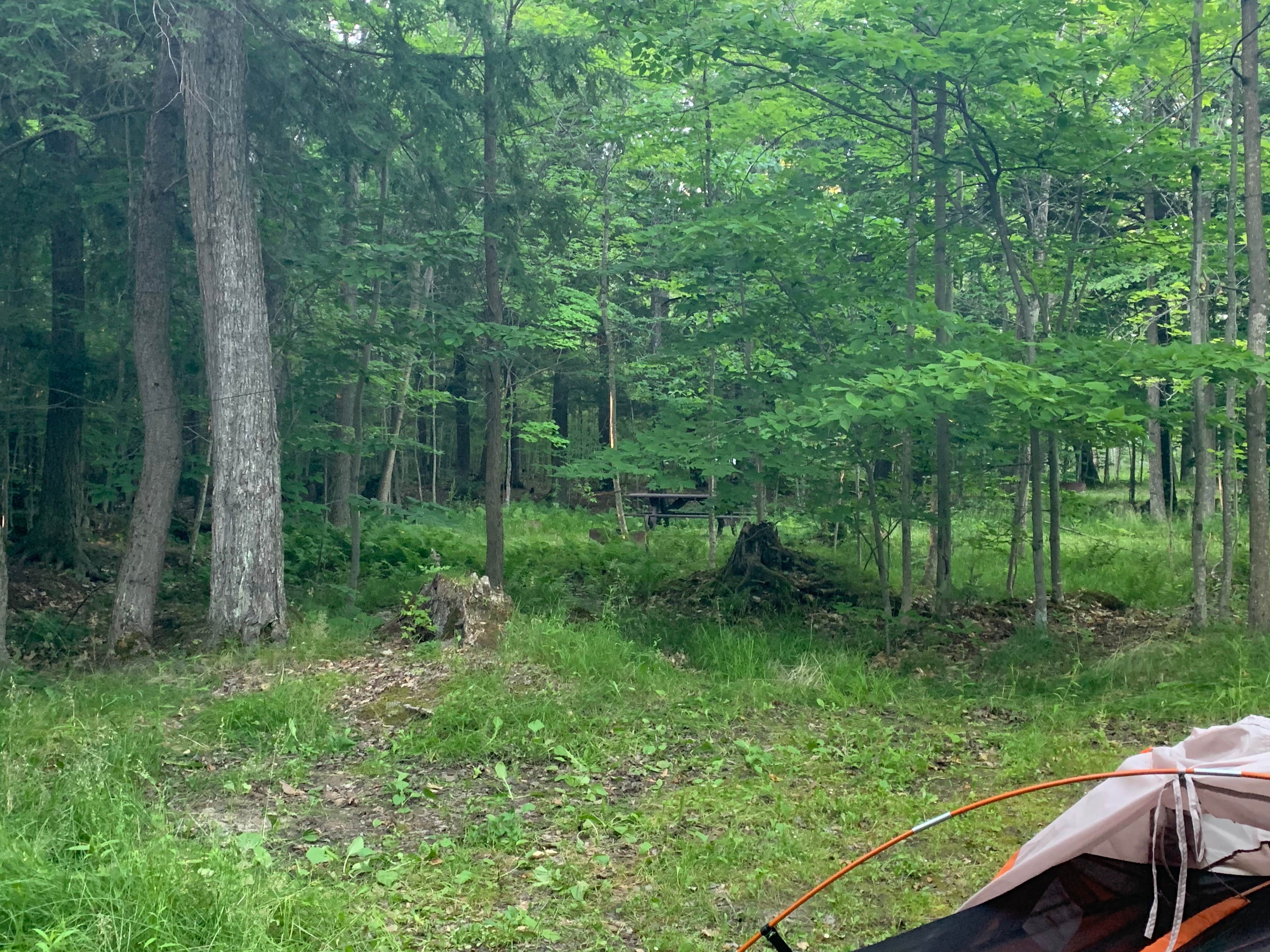 Joshua L.'s photo at South Manistique Lake State Forest Campground near Hiawatha National Forest