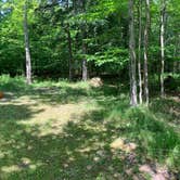 Review photo of South Manistique Lake State Forest Campground by Joshua L., August 2, 2020
