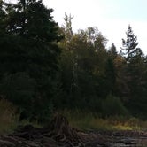 Review photo of Forest Lake State Forest Campground by Rachel K., April 13, 2018