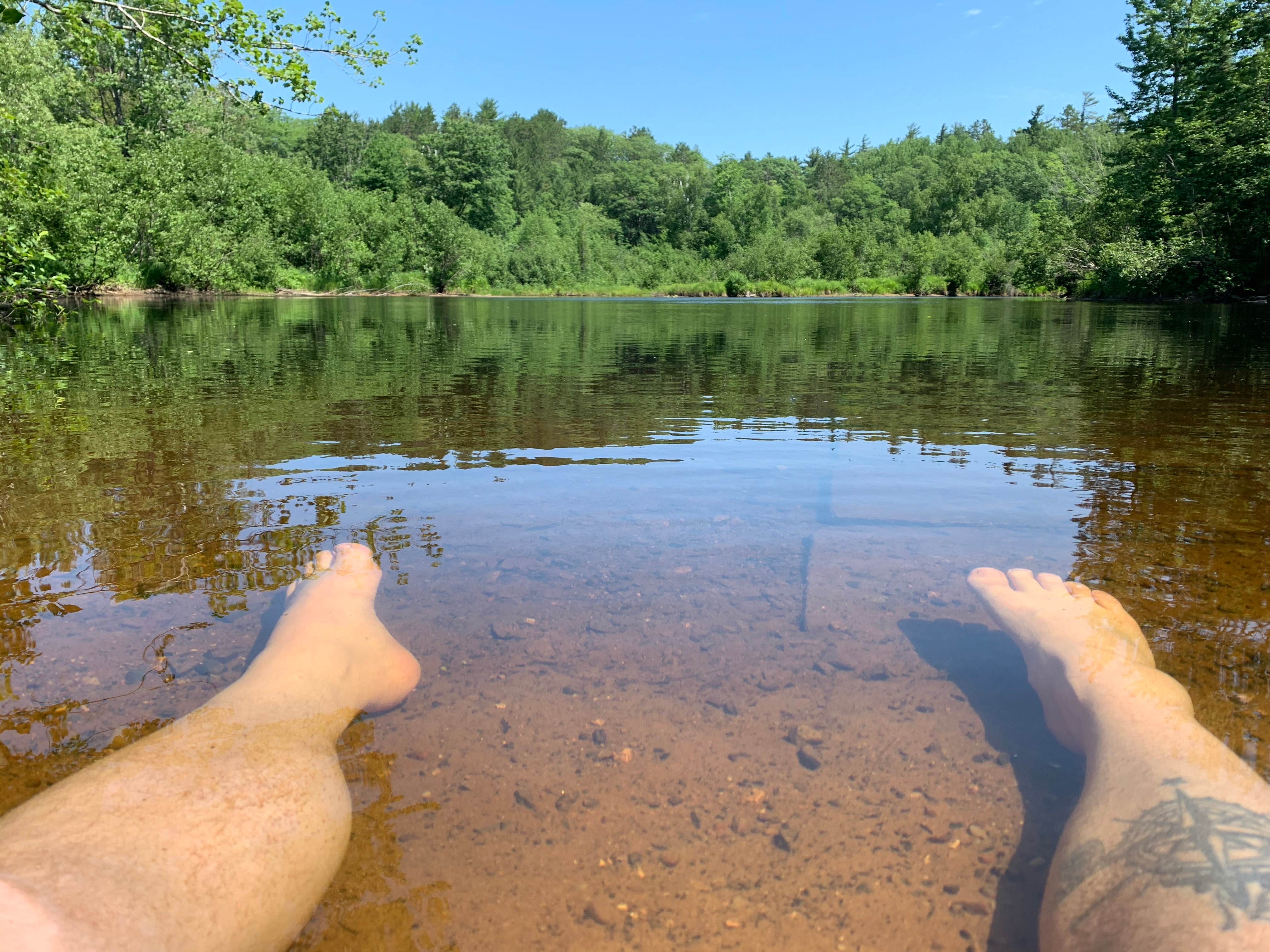 Camper submitted image from Forestville Campground - 5