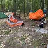 Review photo of Forestville Campground by Joshua L., August 2, 2020