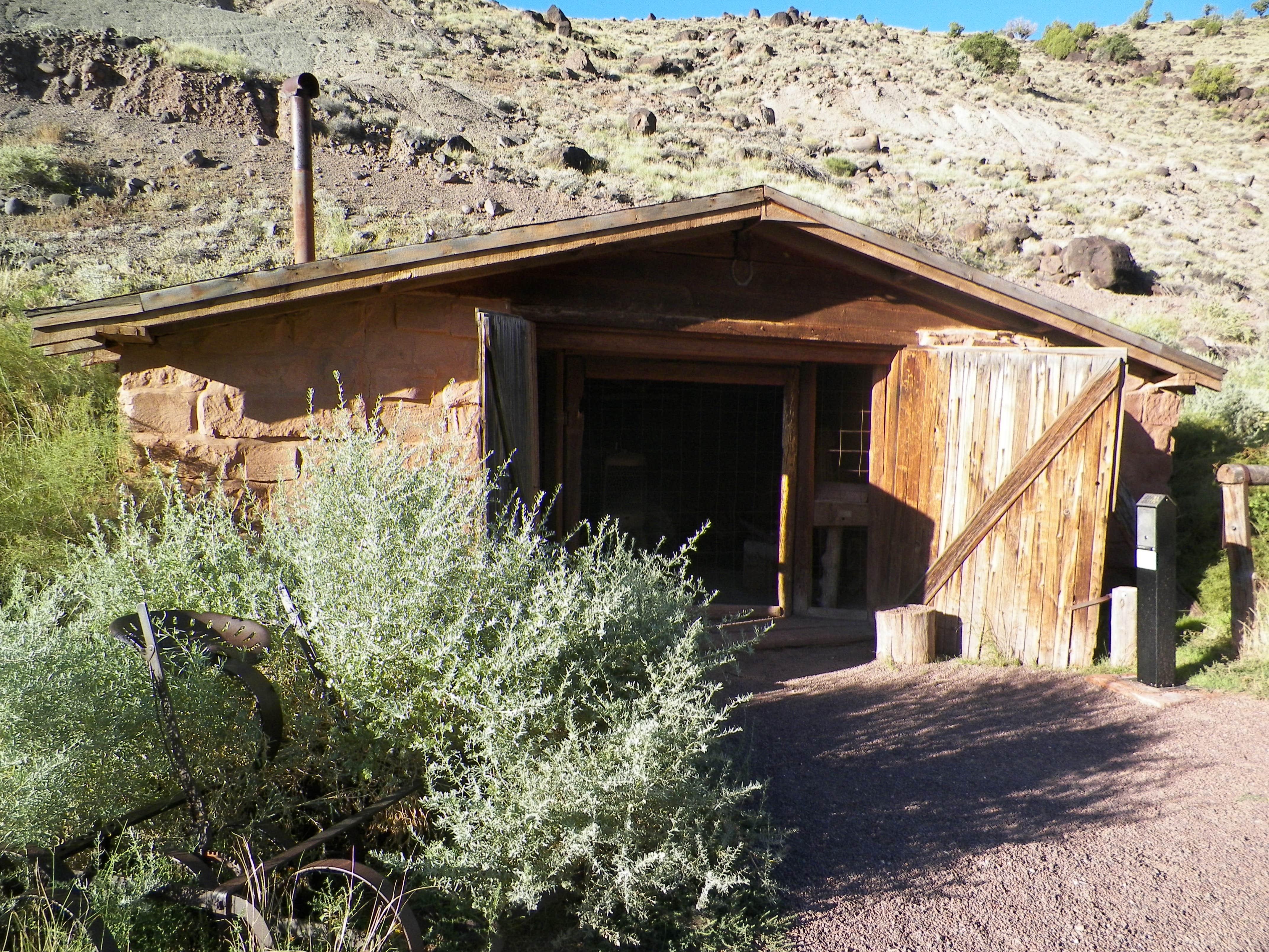 Camper submitted image from Fruita Campground — Capitol Reef National Park - 5