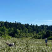 Review photo of Hickory Ridge Campground — Grayson Highlands State Park by Dave V., August 2, 2020