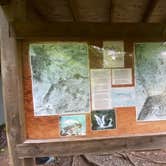 Review photo of Hickory Ridge Campground — Grayson Highlands State Park by Dave V., August 2, 2020