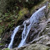 Review photo of Hickory Ridge Campground — Grayson Highlands State Park by Dave V., August 2, 2020