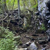 Review photo of Hickory Ridge Campground — Grayson Highlands State Park by Dave V., August 2, 2020