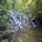 Review photo of Hickory Ridge Campground — Grayson Highlands State Park by Dave V., August 2, 2020